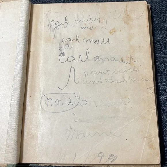 First Edition (1898) “Plant Babies and Their Cradles”, Educational Pub. Co. - Picture 2 of 15